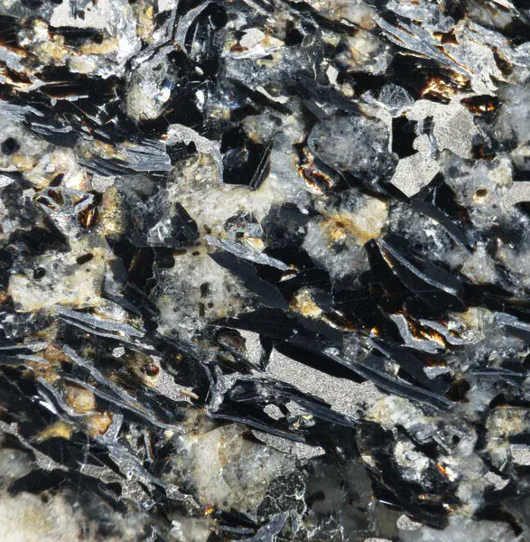 Sulphide and graphite-rich gneiss