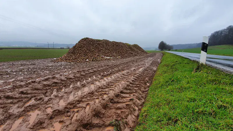 Severe soil compaction after sugar beet harvest in central Germany
