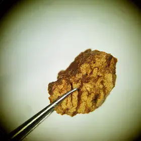 Clay coatings on pore surfaces of a soil aggregate from an illuvial horizon of a luvisol