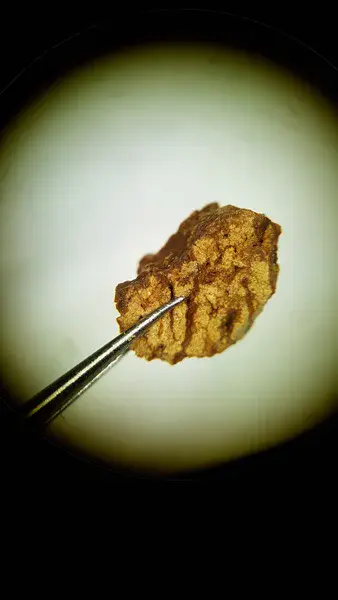 Clay coatings on pore surfaces of a soil aggregate from an illuvial horizon of a luvisol