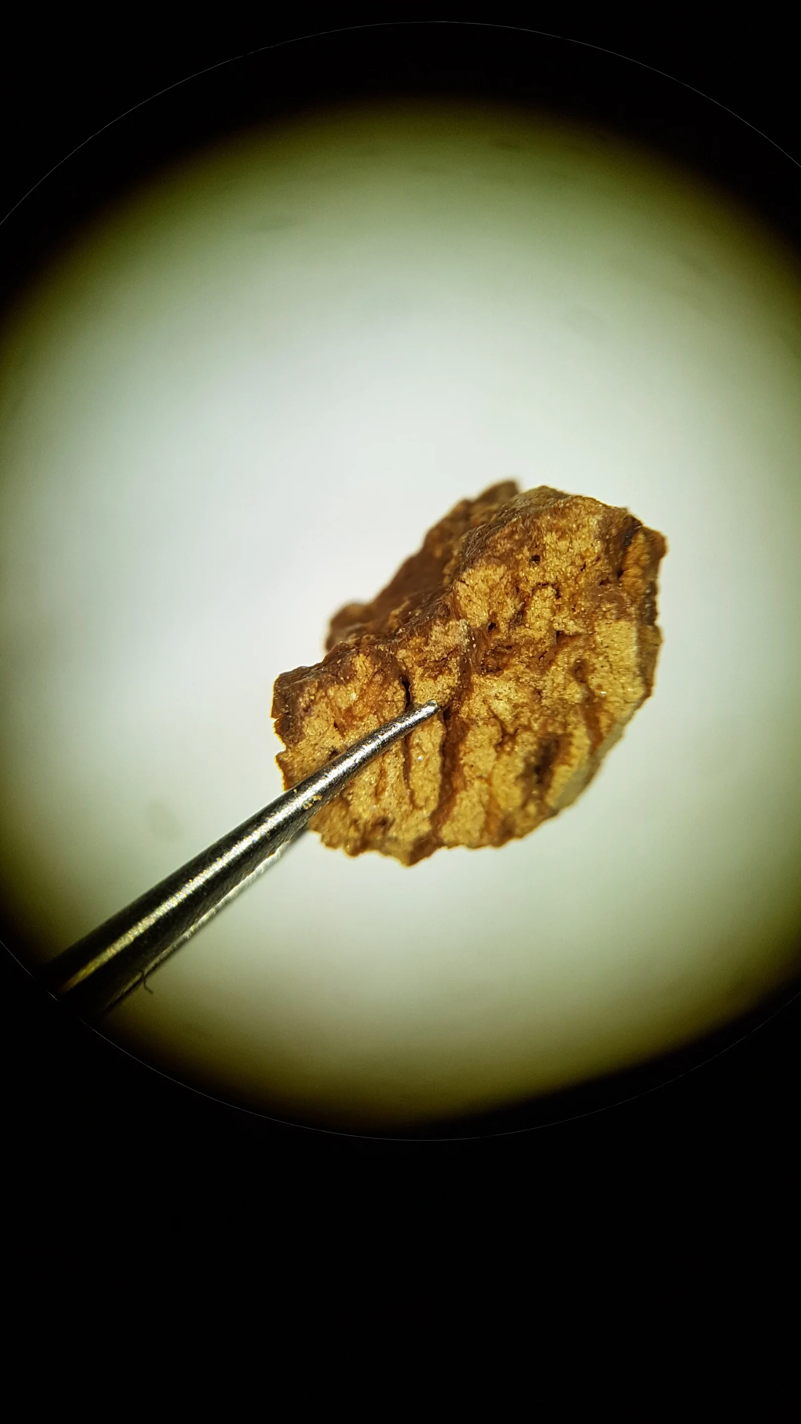 Clay coatings on pore surfaces of a soil aggregate from an illuvial horizon of a luvisol