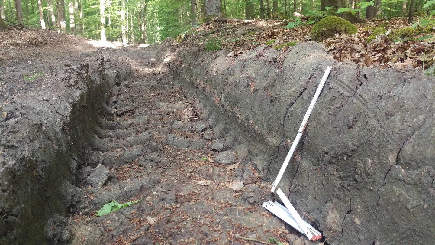 Severe soil compaction in a forest skid trail in central Germany