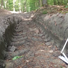 Severe soil compaction in a forest skid trail in central Germany
