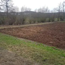 Subsoil brought to light