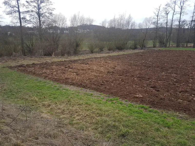 Subsoil brought to light