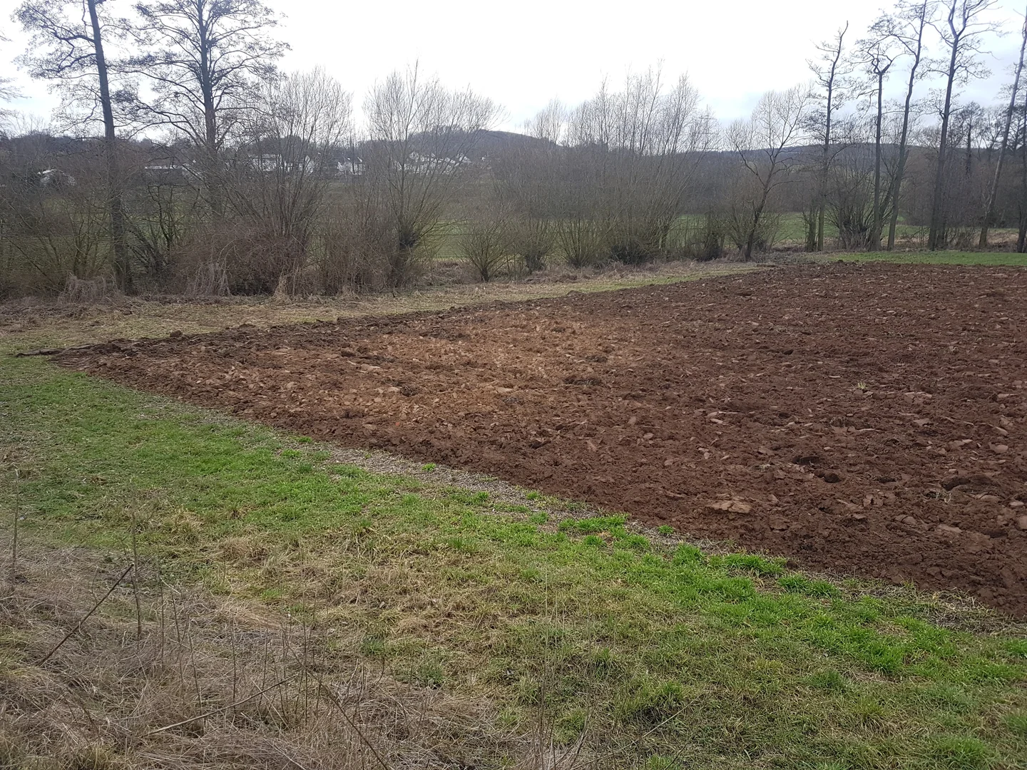 Subsoil brought to light