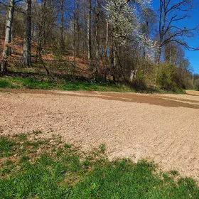 Interflow on a dry day at the edge of a forest