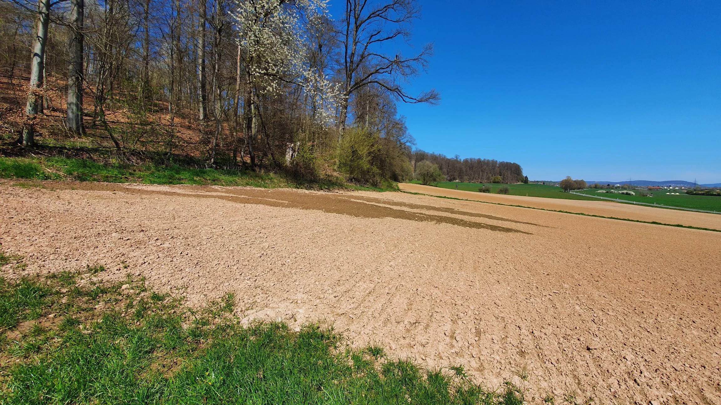 Interflow on a dry day at the edge of a forest