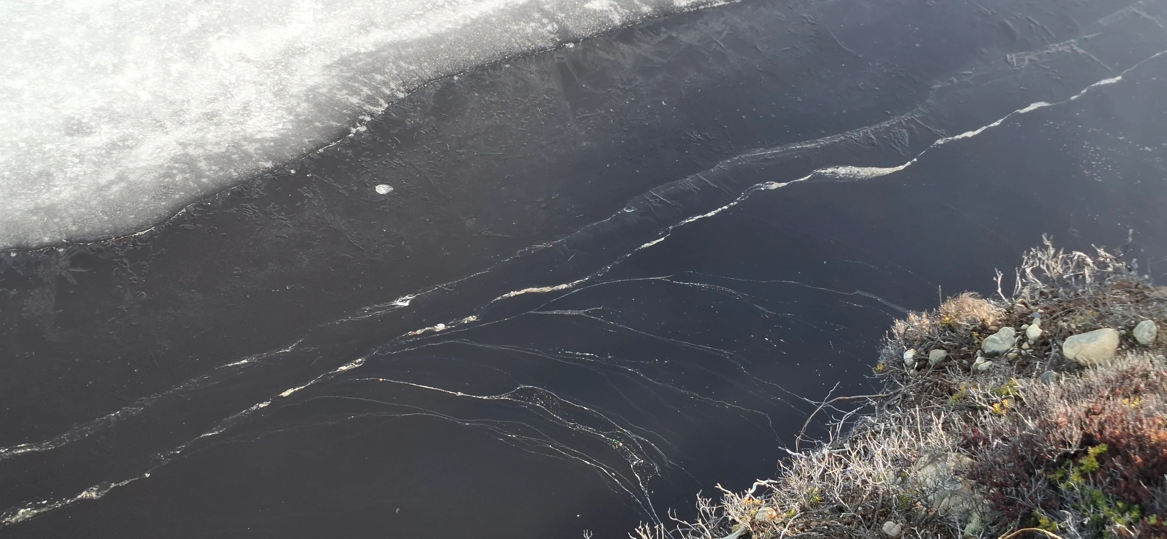 Thawing lake ice patterns