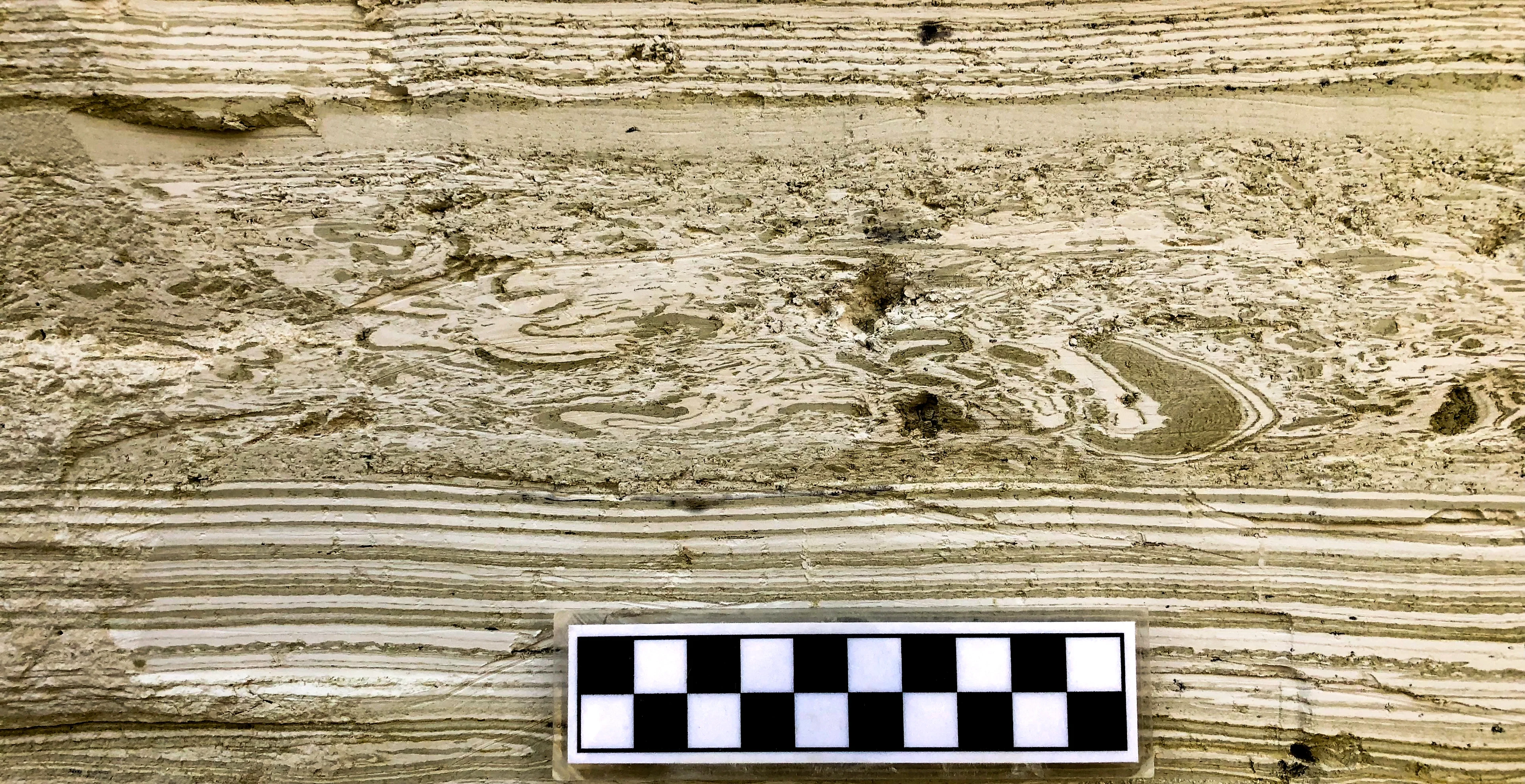 A seismite in the Lisan Formation, pre Dead Sea lake deposits
