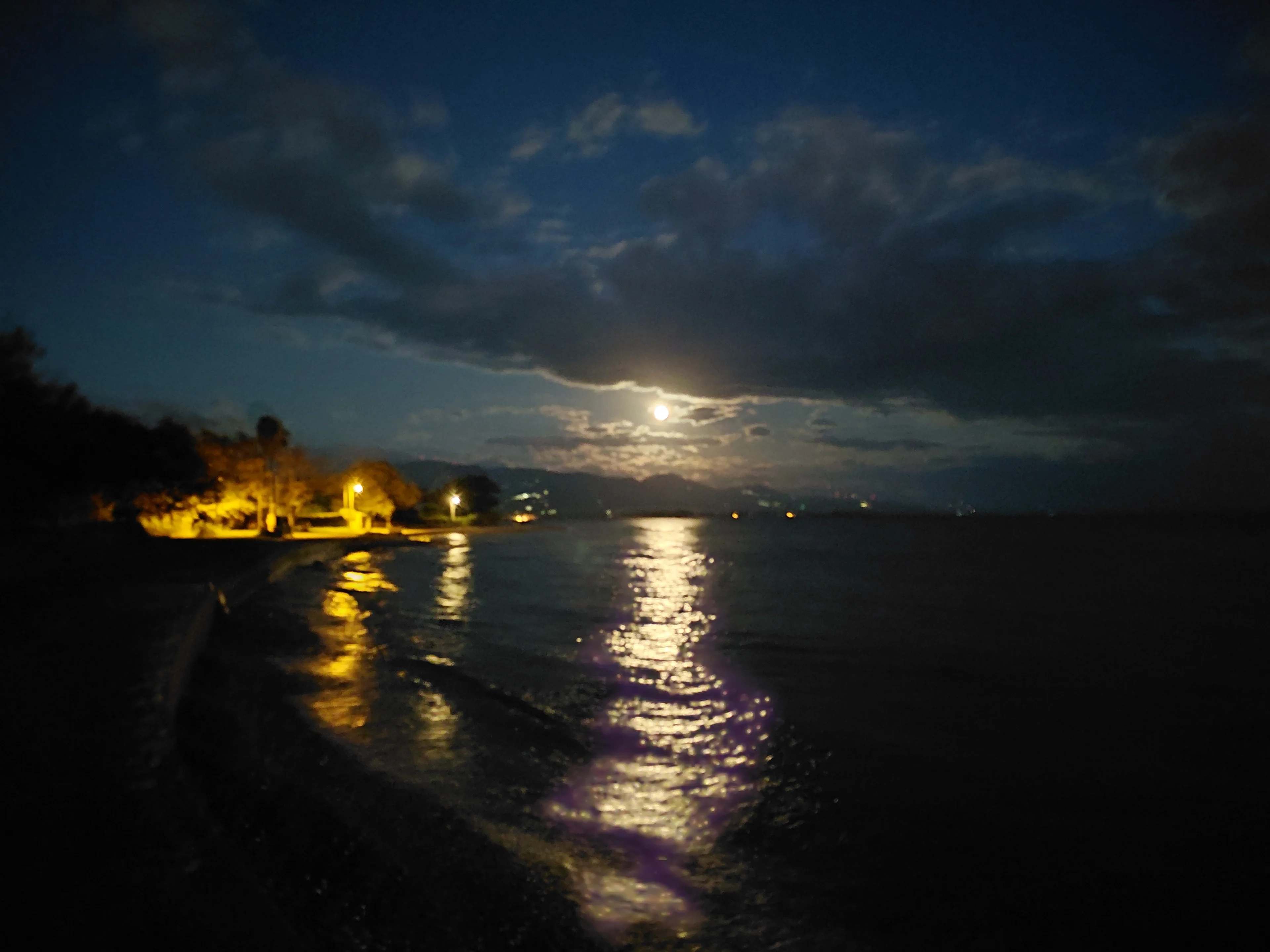 Moonlit waters reflecting soft glow, serene shoreline under twilight sky.