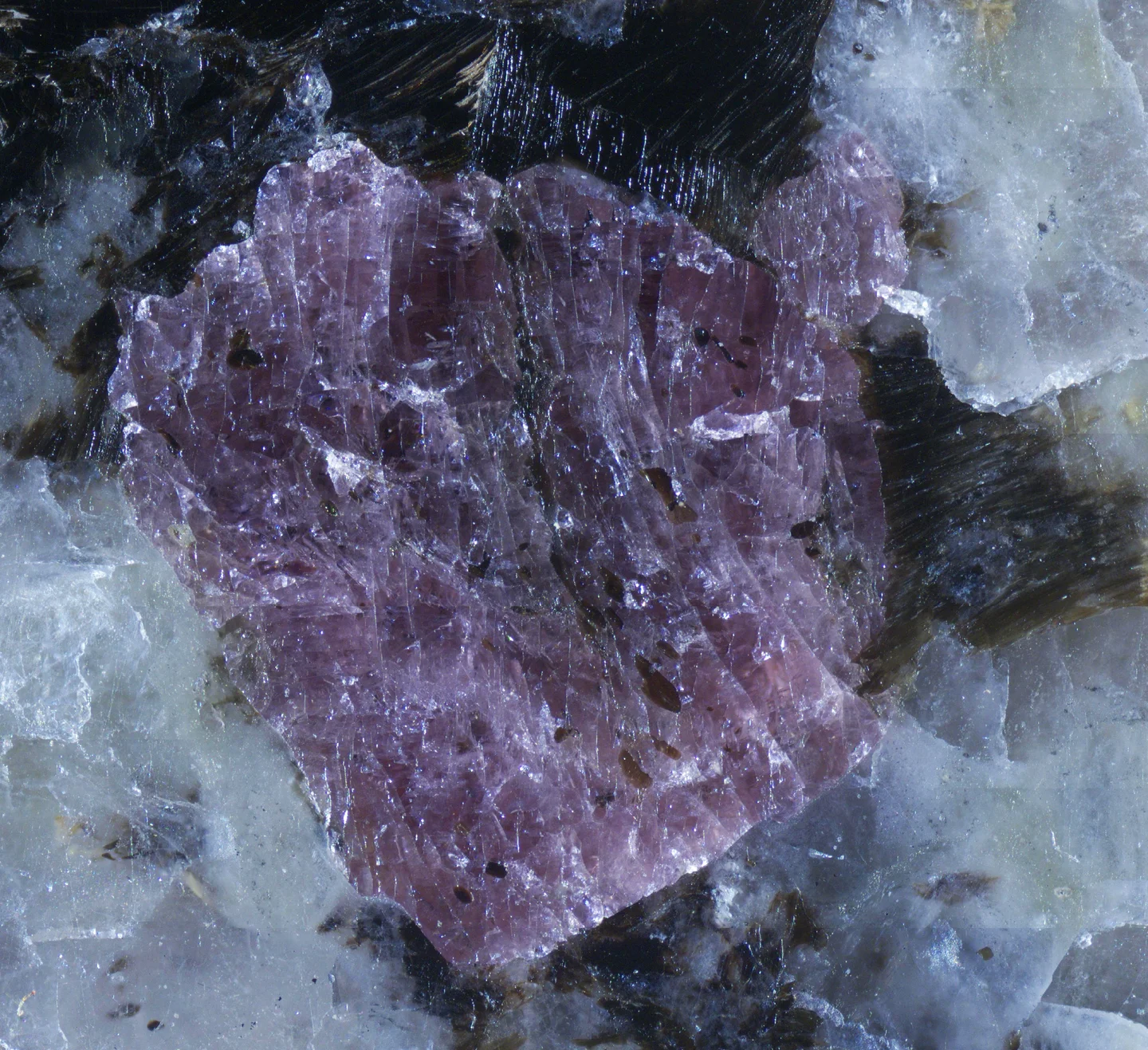 A vibrant pink crystal stands out against a rugged, textured background.