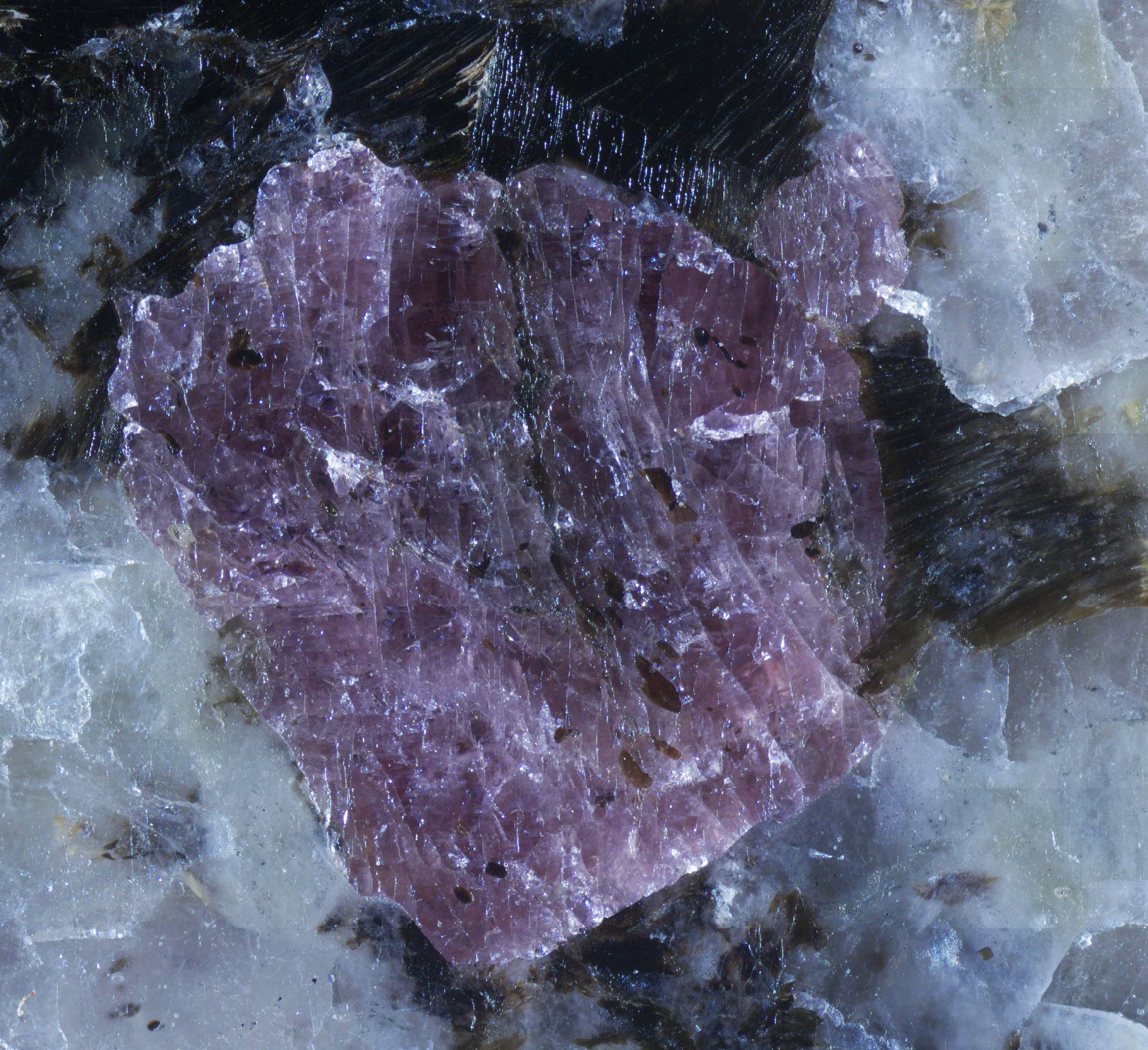 A vibrant pink crystal stands out against a rugged, textured background.