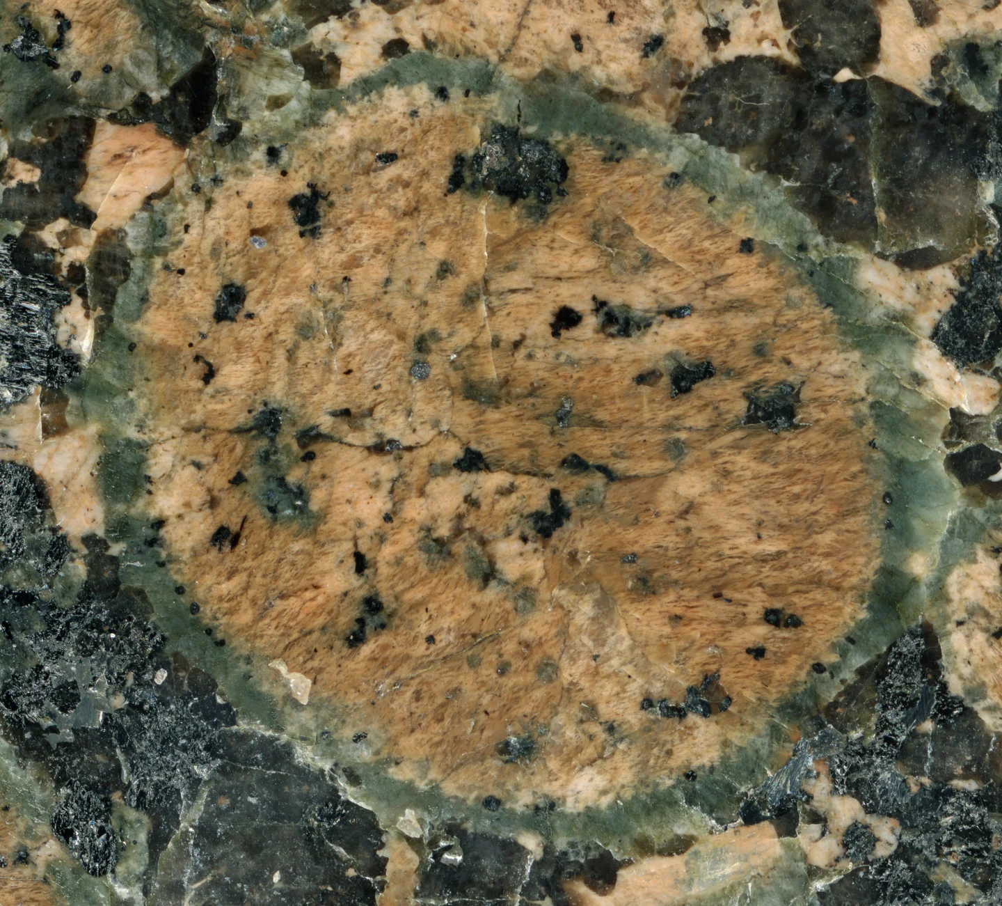A circular, light brown rock with small black speckles is surrounded by a greenish-blue mineral matrix. The background consists of various shades of brown, grey, and black rock fragments, creating a complex geological texture.