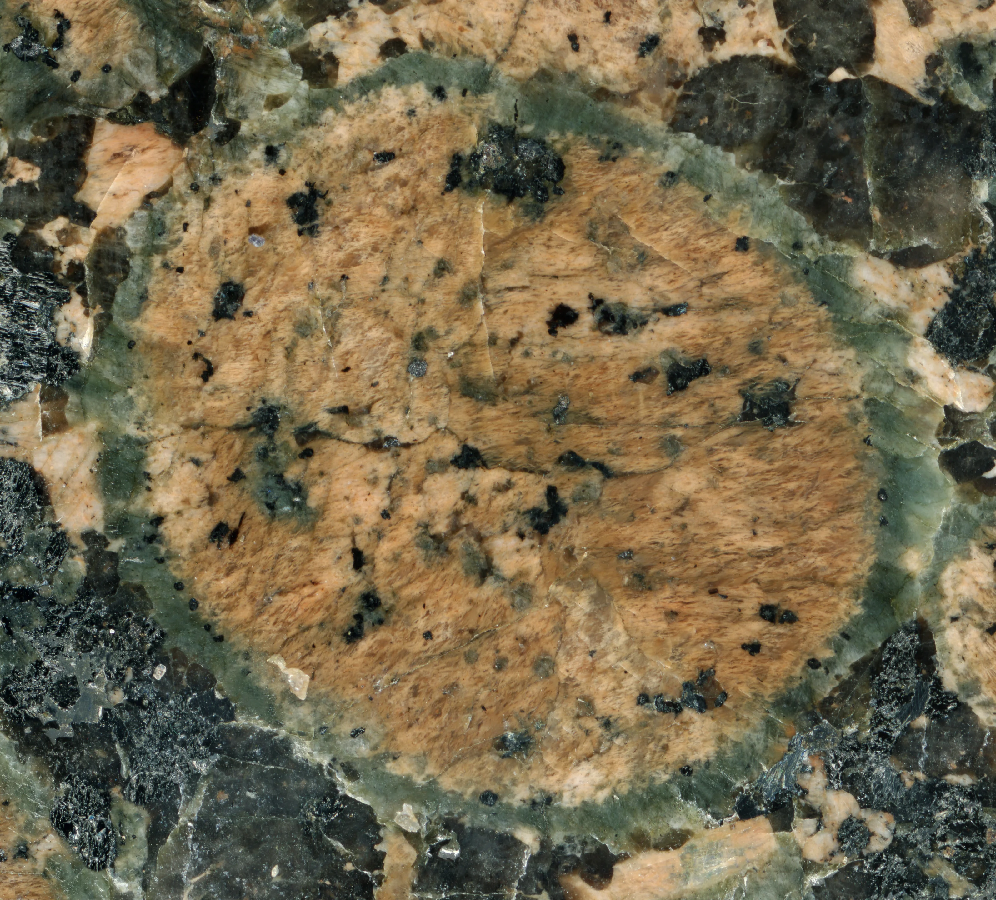 A circular, light brown rock with small black speckles is surrounded by a greenish-blue mineral matrix. The background consists of various shades of brown, grey, and black rock fragments, creating a complex geological texture.