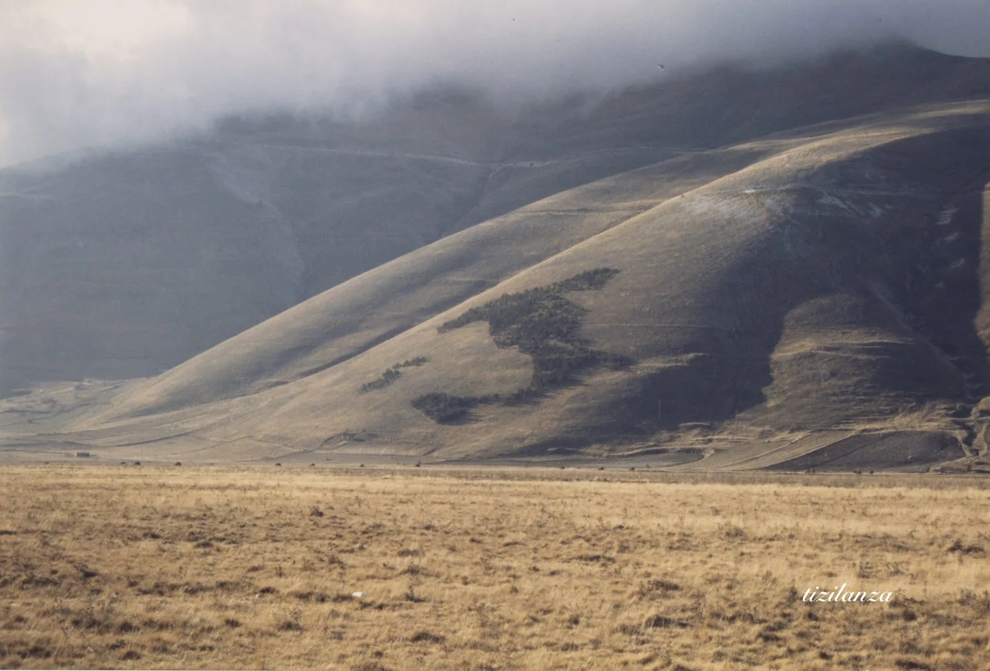 A dark patch of forest shaped like the Italian peninsula stands out on a golden hillside beneath cloud-wrapped grey mountains, with a wide sunlit grassy plain in the foreground.